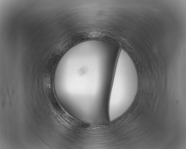 X0000060270368200510281041