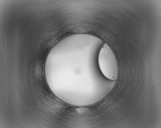 X0000060270371200510281041