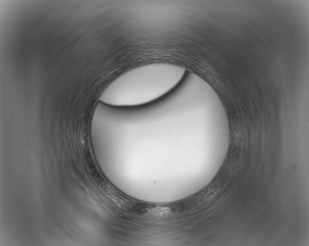 X0000060270374200510281041