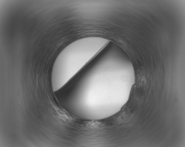 X0000060270379200510281041