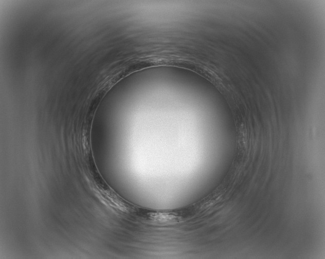 X0000060270380200510281041