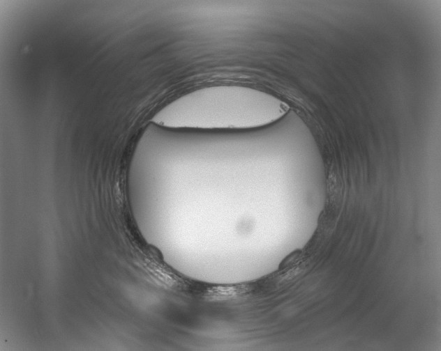 X0000060270381200510281041