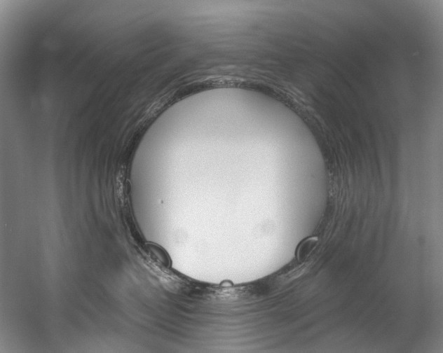X0000060270382200510281041