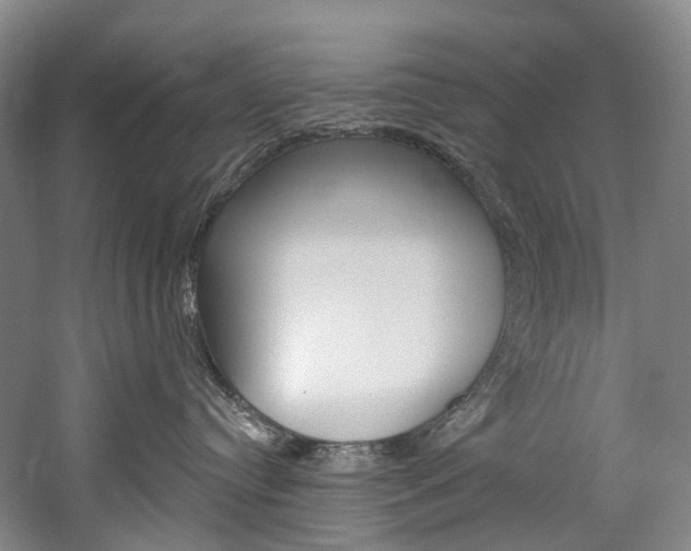 X0000060270384200510281041
