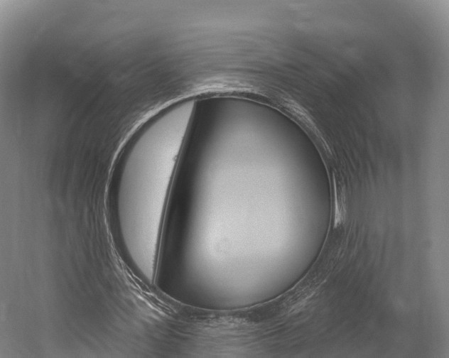 X0000060270387200510281040