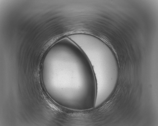 X0000060270389200510281040
