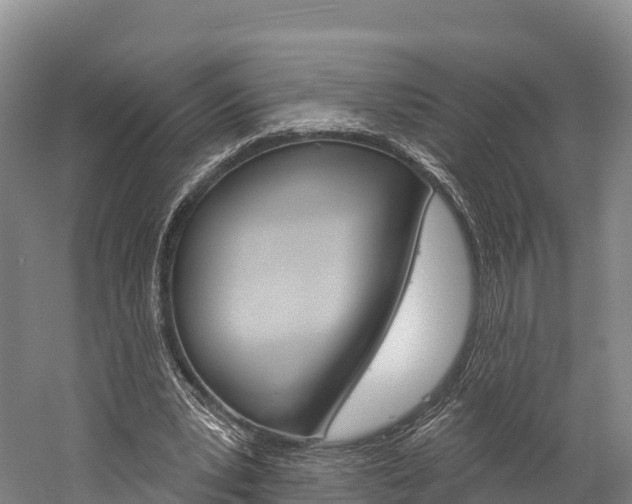 X0000060270391200510281040