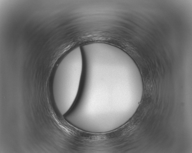 X0000060270398200510281040