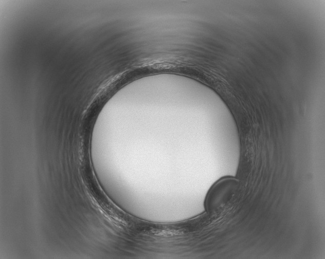 X0000060270400200510281040