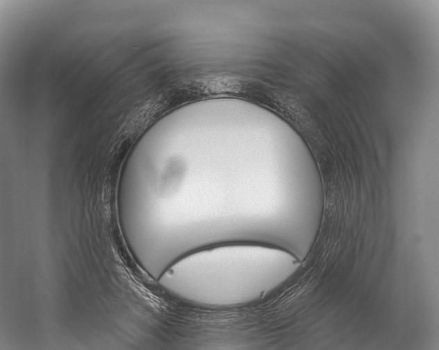 X0000060270402200510281040