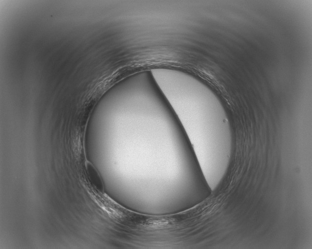 X0000060270405200510281040