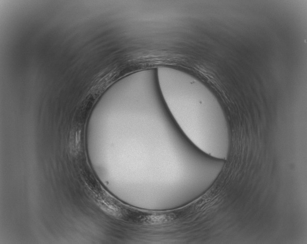 X0000060270406200510281040