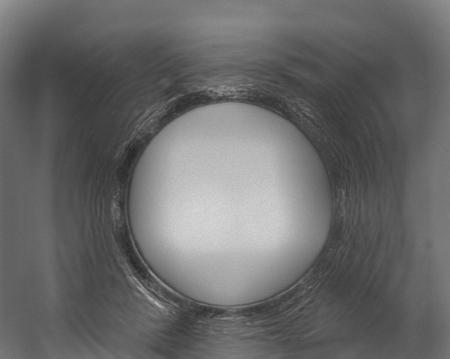 X0000060270408200510281040