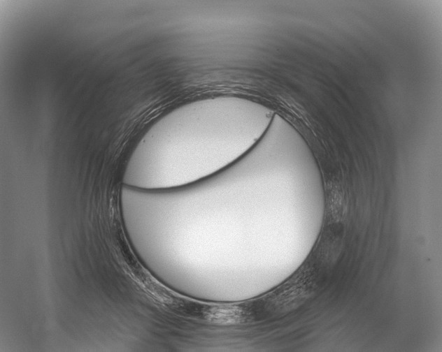 X0000060270410200510281040