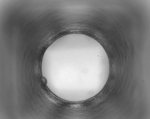 X0000060270411200510281040
