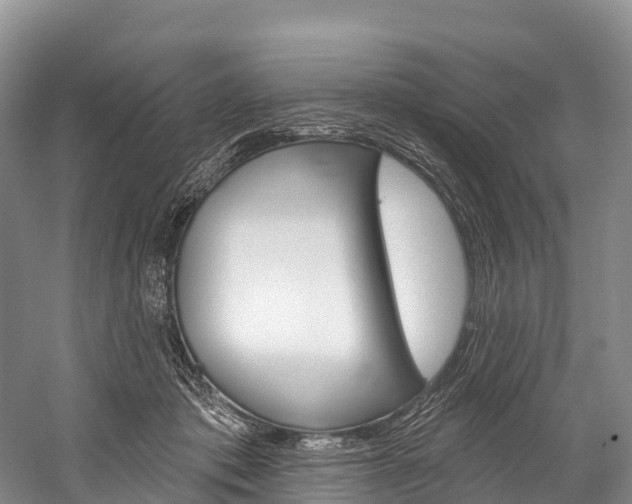 X0000060270413200510281040