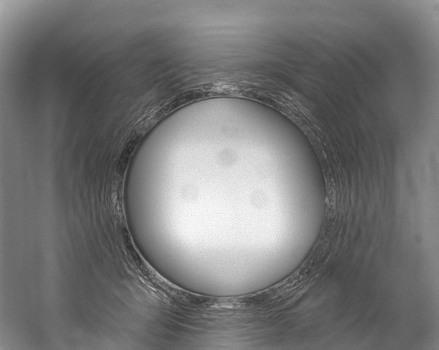 X0000060270415200510281040