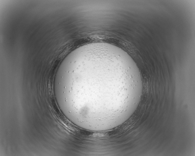 X0000060270418200510281040