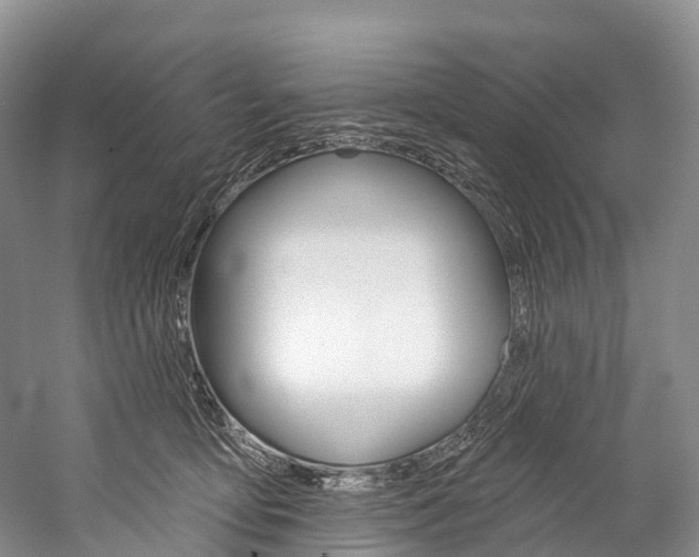 X0000060270419200510281040