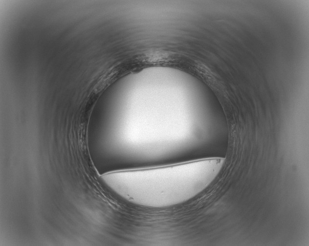 X0000060270421200510281040