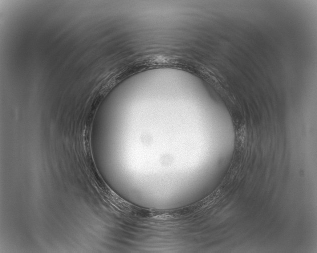 X0000060270423200510281040
