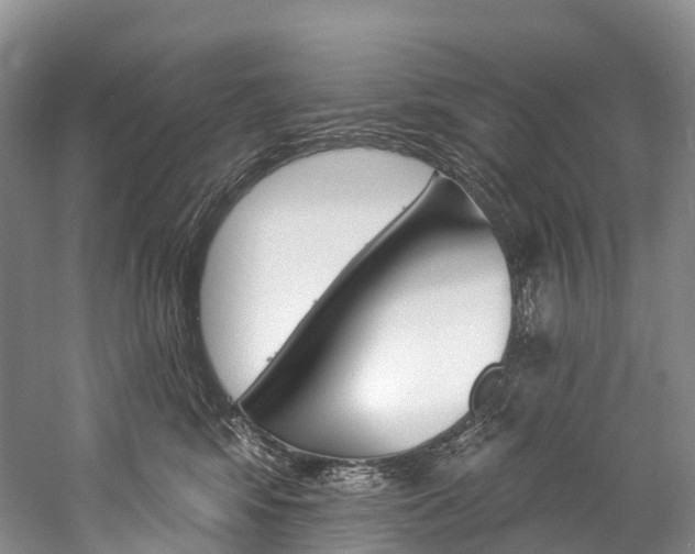 X0000060270424200510281040