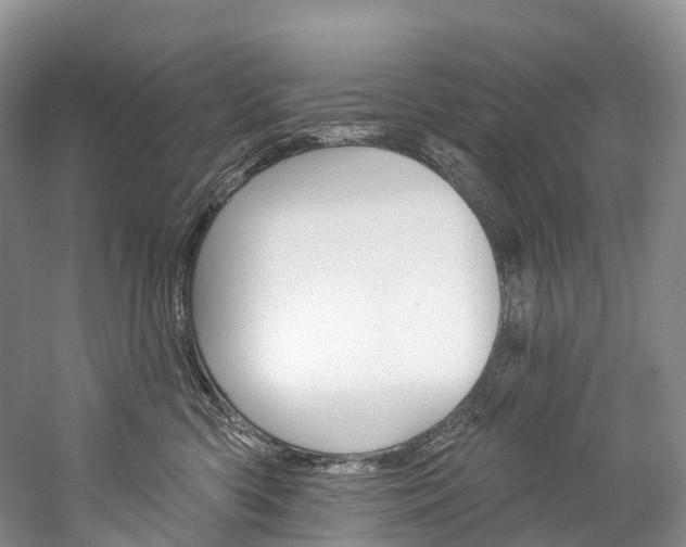 X0000060270426200510281040