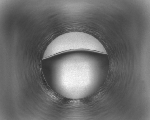 X0000060270428200510281040