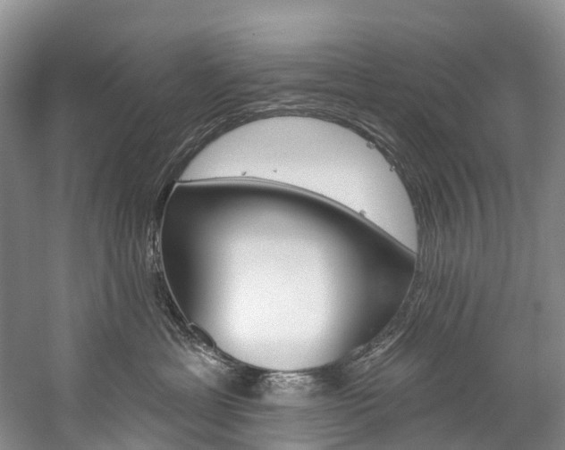 X0000060270429200510281040