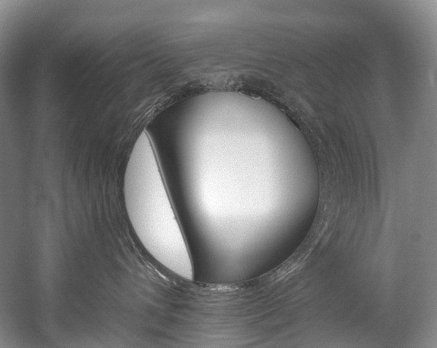 X0000060270432200510281040