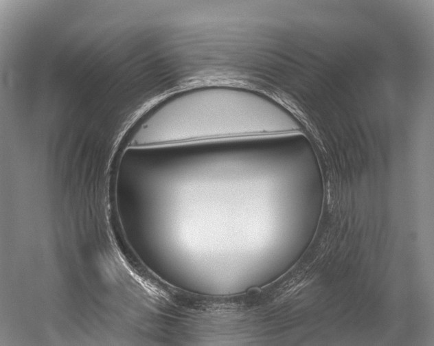 X0000060270438200510281039