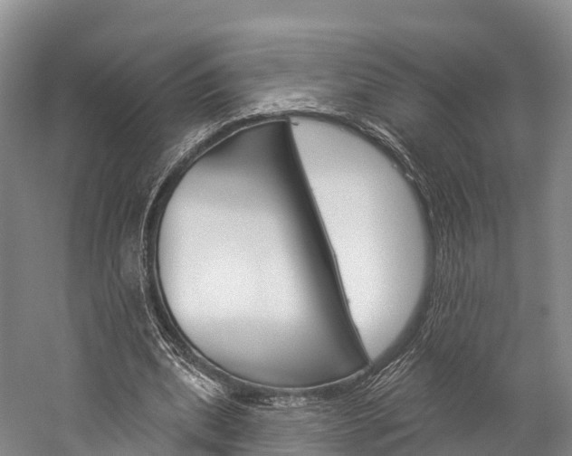 X0000060270439200510281039