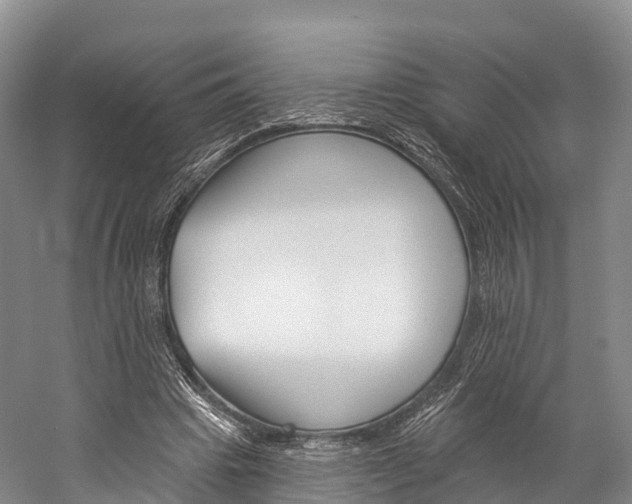 X0000060270441200510281039