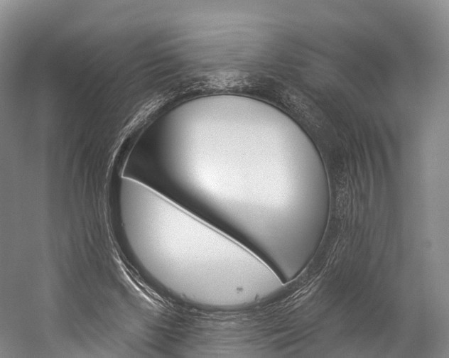 X0000060270443200510281039