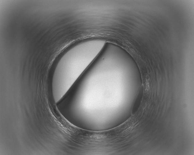 X0000060270444200510281039