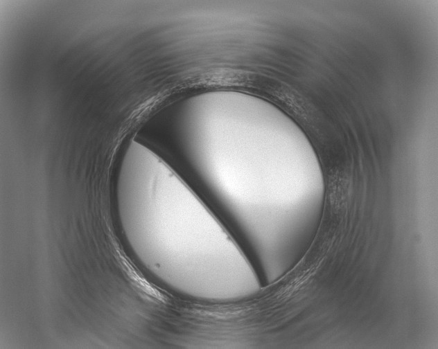 X0000060270445200510281039