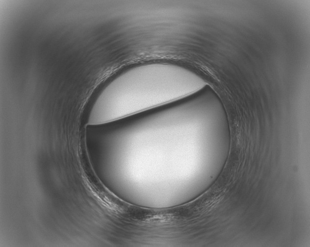 X0000060270447200510281039