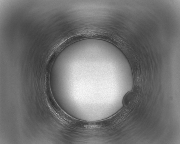 X0000060270448200510281039