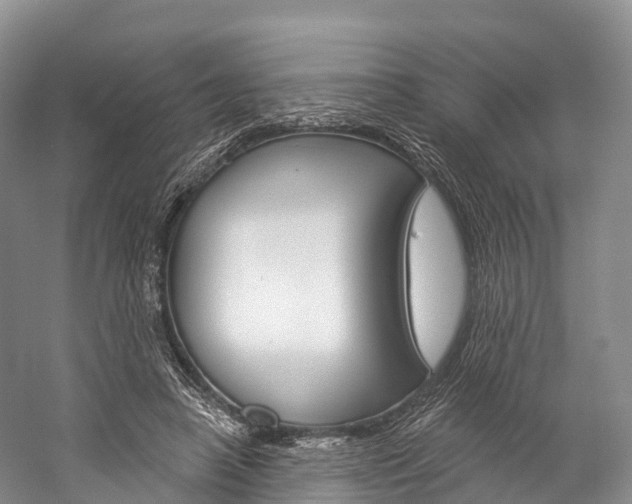X0000060270450200510281039