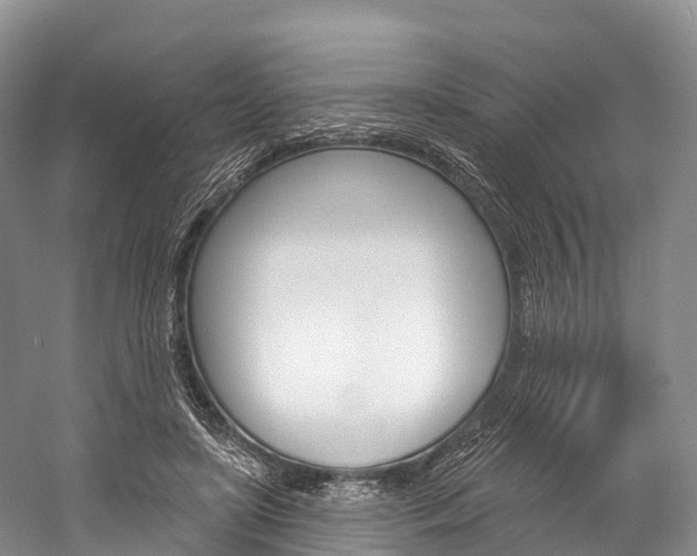 X0000060270451200510281039