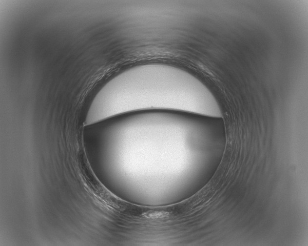 X0000060270452200510281039