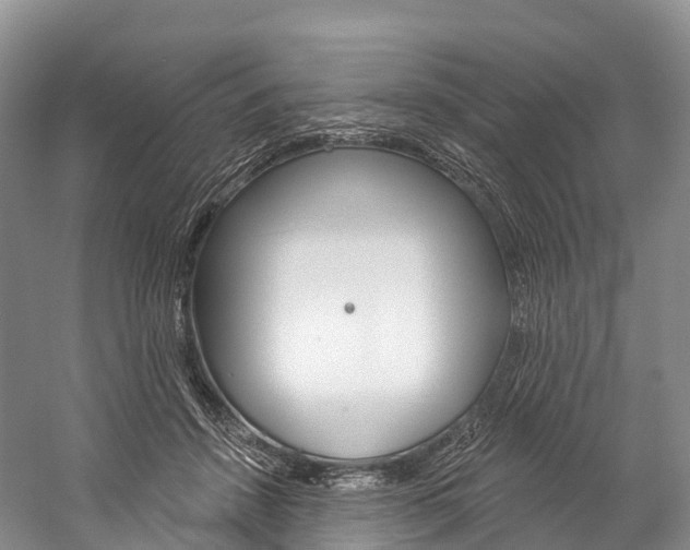 X0000060270456200510281039