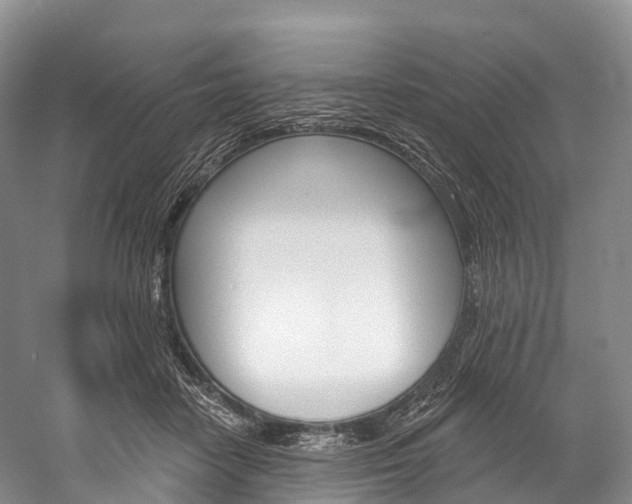 X0000060270458200510281039