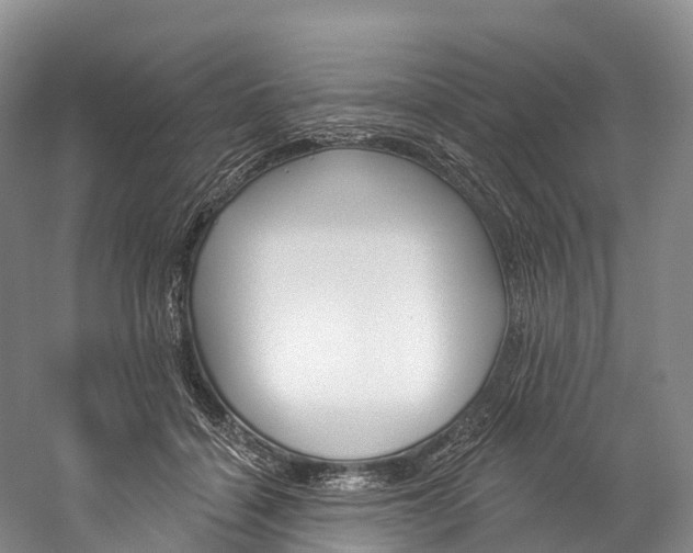 X0000060270460200510281039