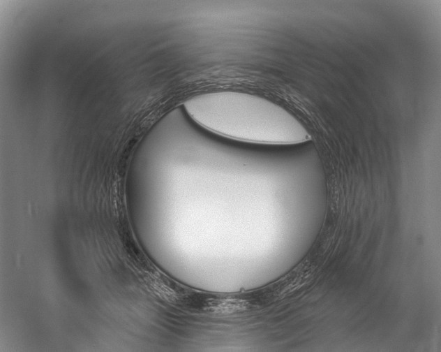 X0000060270463200510281039