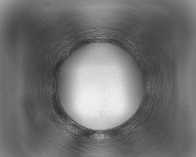 X0000060270464200510281039