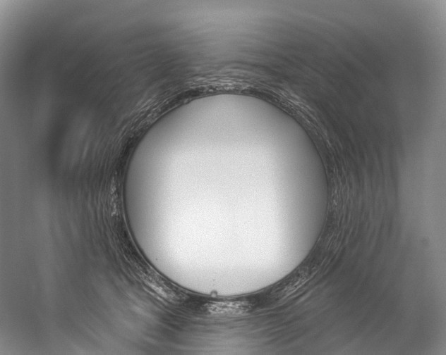 X0000060270465200510281039