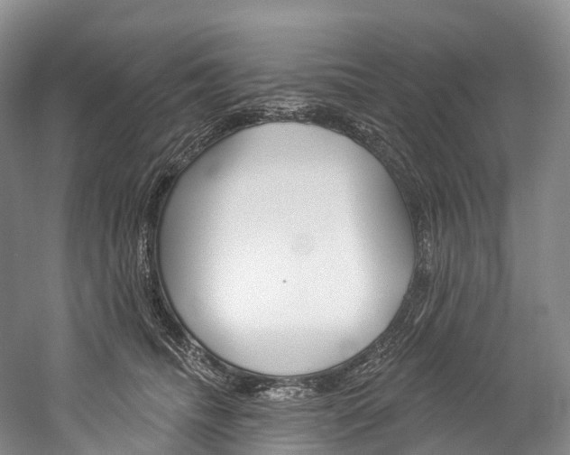 X0000060270468200510281039
