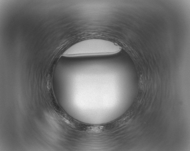 X0000060270474200510281040