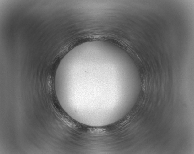 X0000060270476200510281040